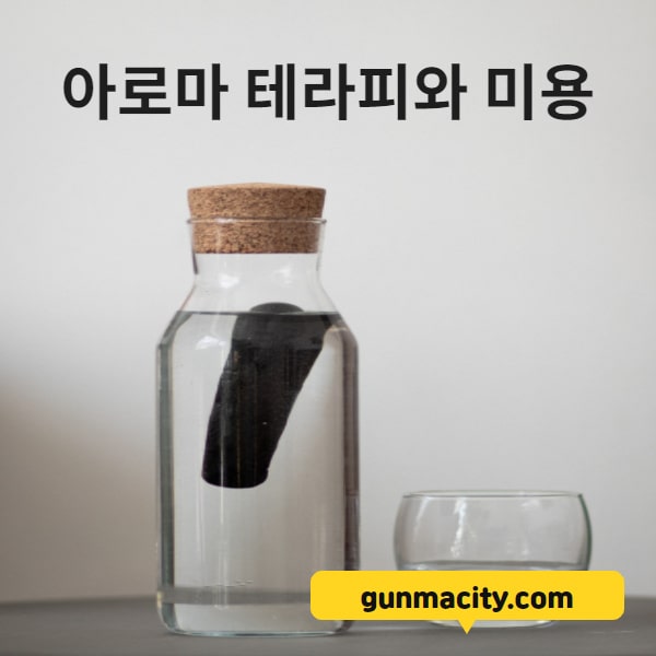 gunmacity.com 아로마테라피 미용분야 접목방안