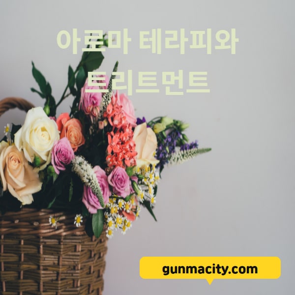 gunmacity.com 아로마테라피와 트리트먼트