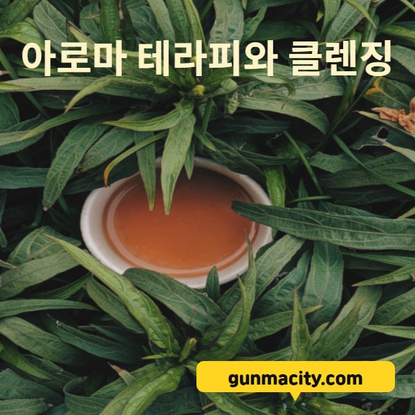 gunmacity.com 아로마테라피와 클렌징