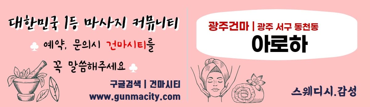 스웨디시 아로하 gunmacity