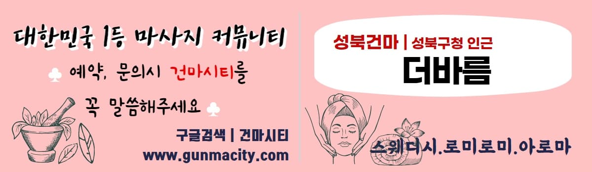 스웨디시 더바름 gunmacity