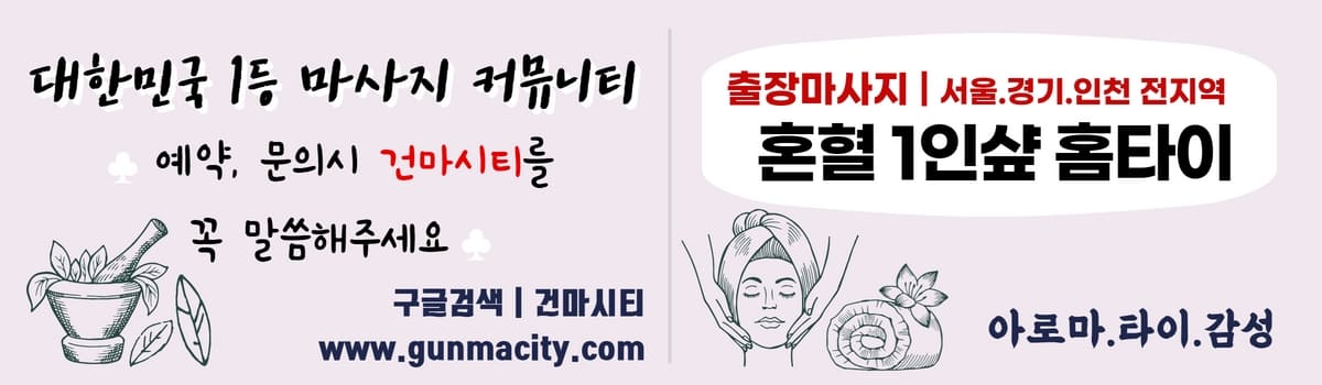 서울홈타이 혼혈1인샾홈타이 gunmacity.com
